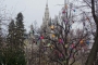 Christmas Market in Vienna